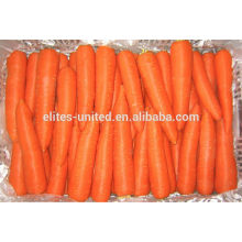 Chinese organic fresh carrot price